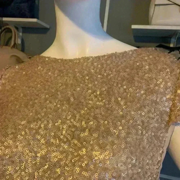 Sorella Vita Cowl Back Sequin Gown Drape Back Gold Cap Sleeve Maxi Dress Sz: 16 - Picture 5 of 15